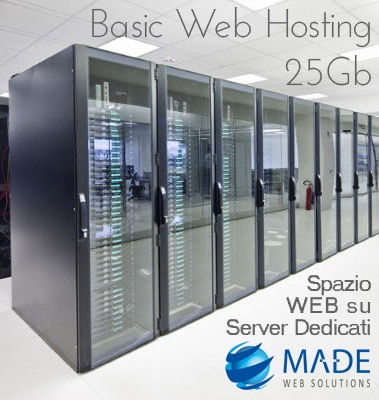 Basic Web Hosting 25Gb