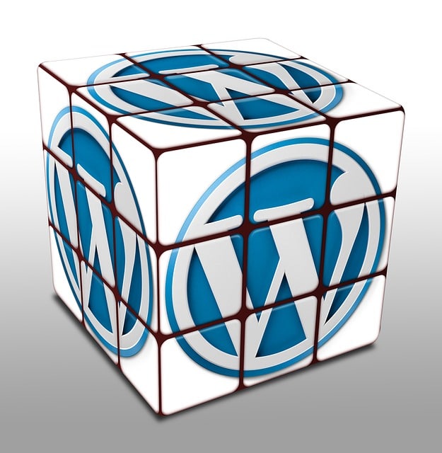 Plugin per Wordpress